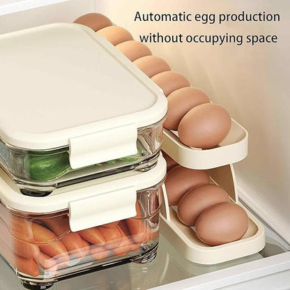 Egg Storage Box